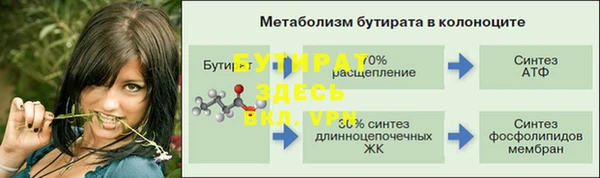 спиды Богданович